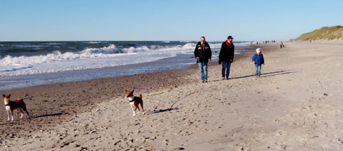 Udenlandske tilflyttere hjælper med at tiltrække udlændinge til Ringkøbing-Skjern